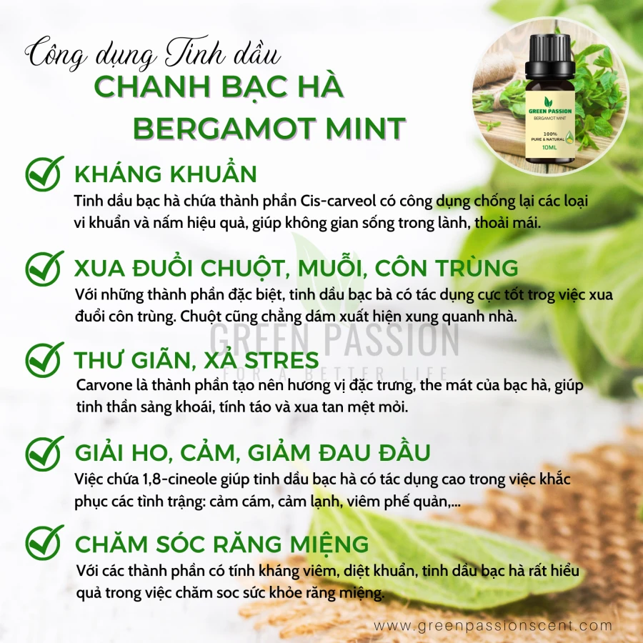 Tinh Dầu Chanh Bạc Hà