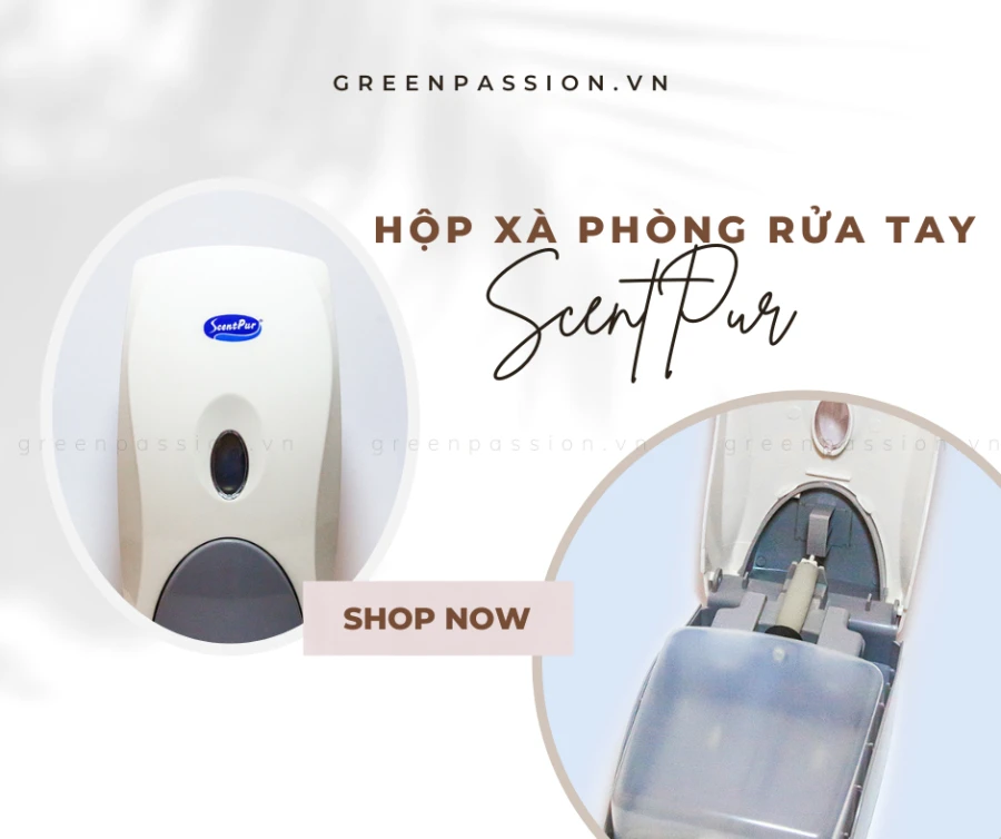 Hộp Đựng Xà Phòng Rửa Tay GP800