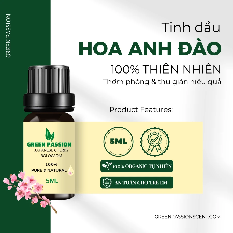 Tinh Dầu Hoa Anh Đào