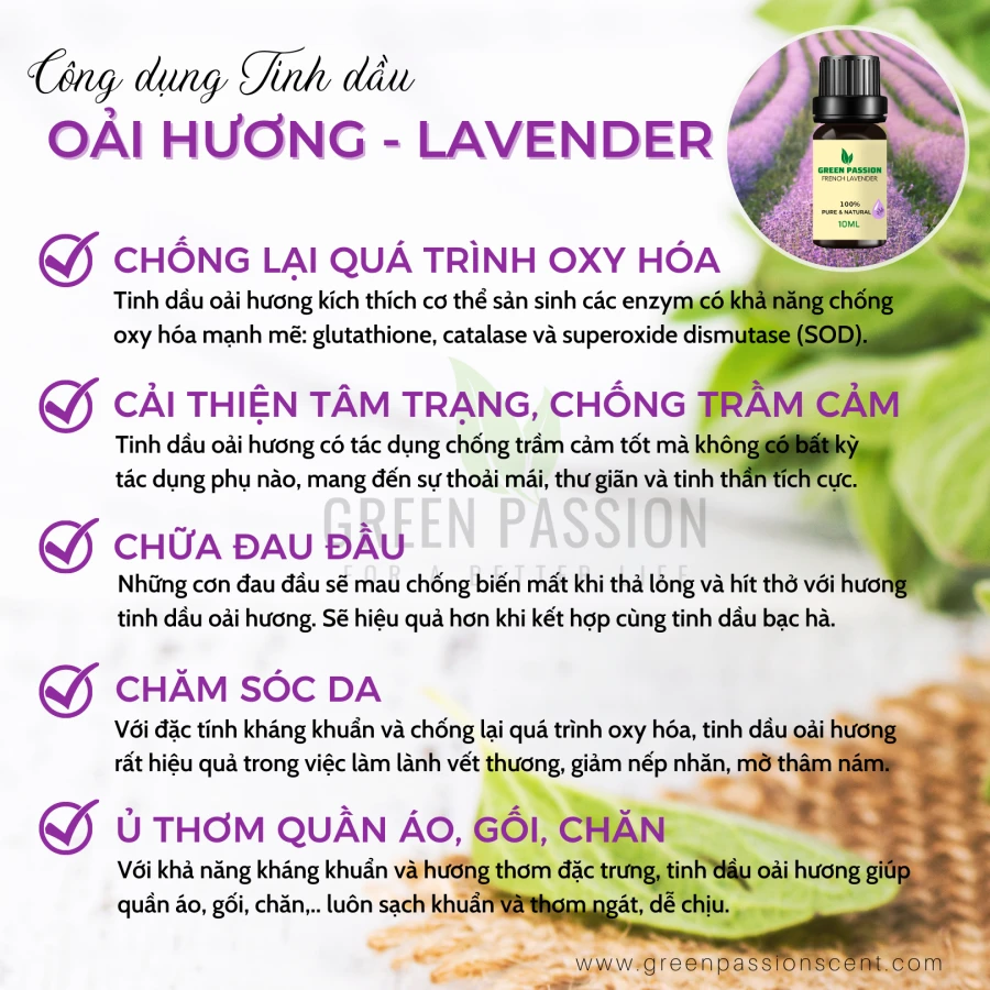 Tinh Dầu Lavender