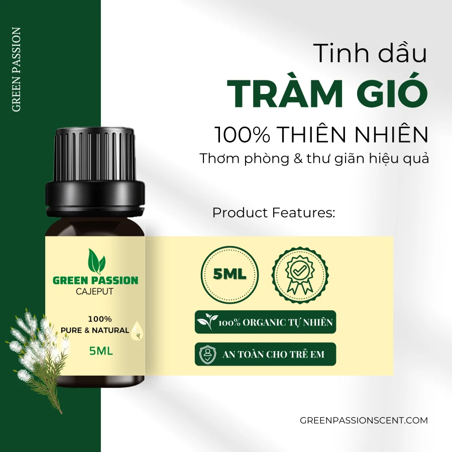 Tinh dầu Tràm Gió