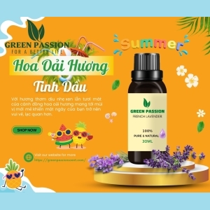 Tinh Dầu Lavender